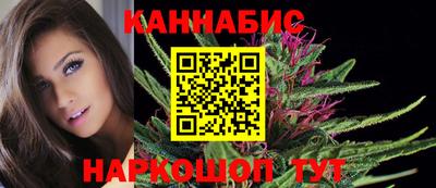 Альфа ПВП Кандалакша