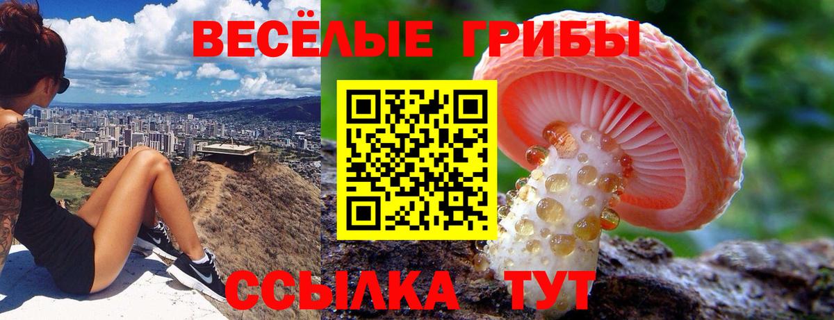 купить закладку  Псилоцибиновые грибы GOLDEN TEACHER  Псилоцибиновые грибы мухоморы  Вход с VPN  Кыштым 